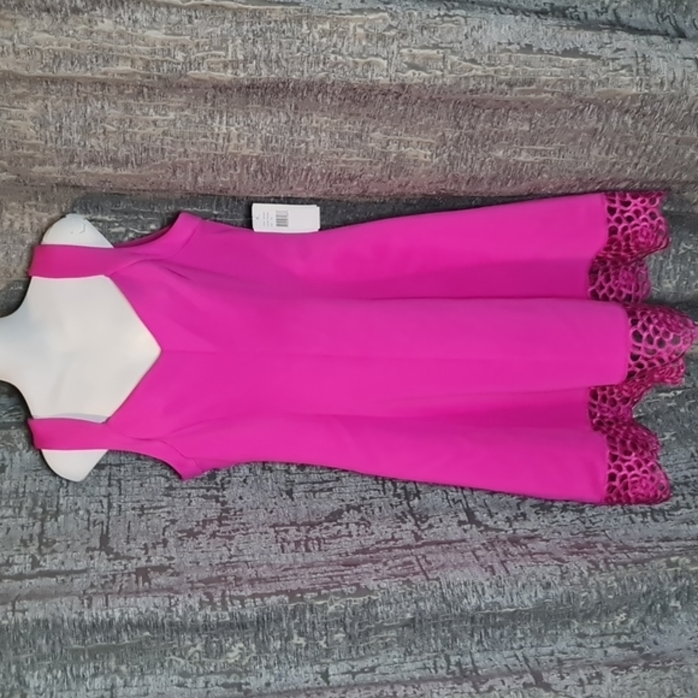 Donna Ricco, New York, Sleeveless  Dress, Size 10 NWT